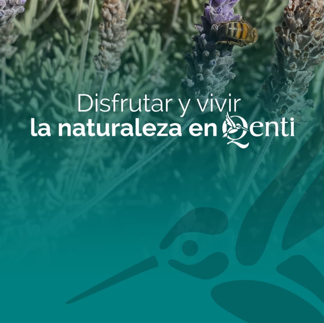 Publicación de Instagram de La Posada del Qenti sobre vivir la naturaleza